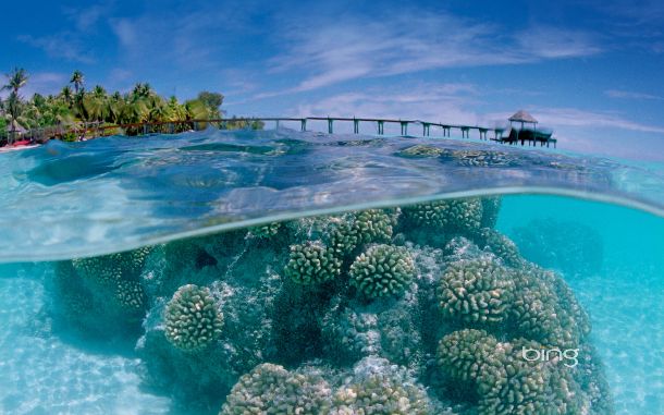 Fakarava Atoll in the Tuamotu Archipelago